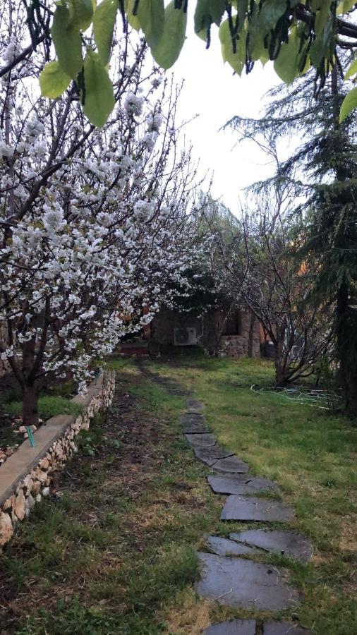 Zimer Al-Bayt Mas'ada Kültér fotó