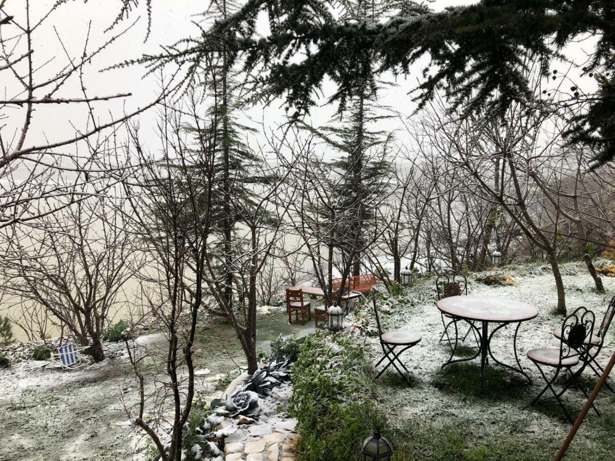 Zimer Al-Bayt Mas'ada Kültér fotó
